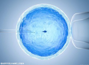 生殖内分泌专家